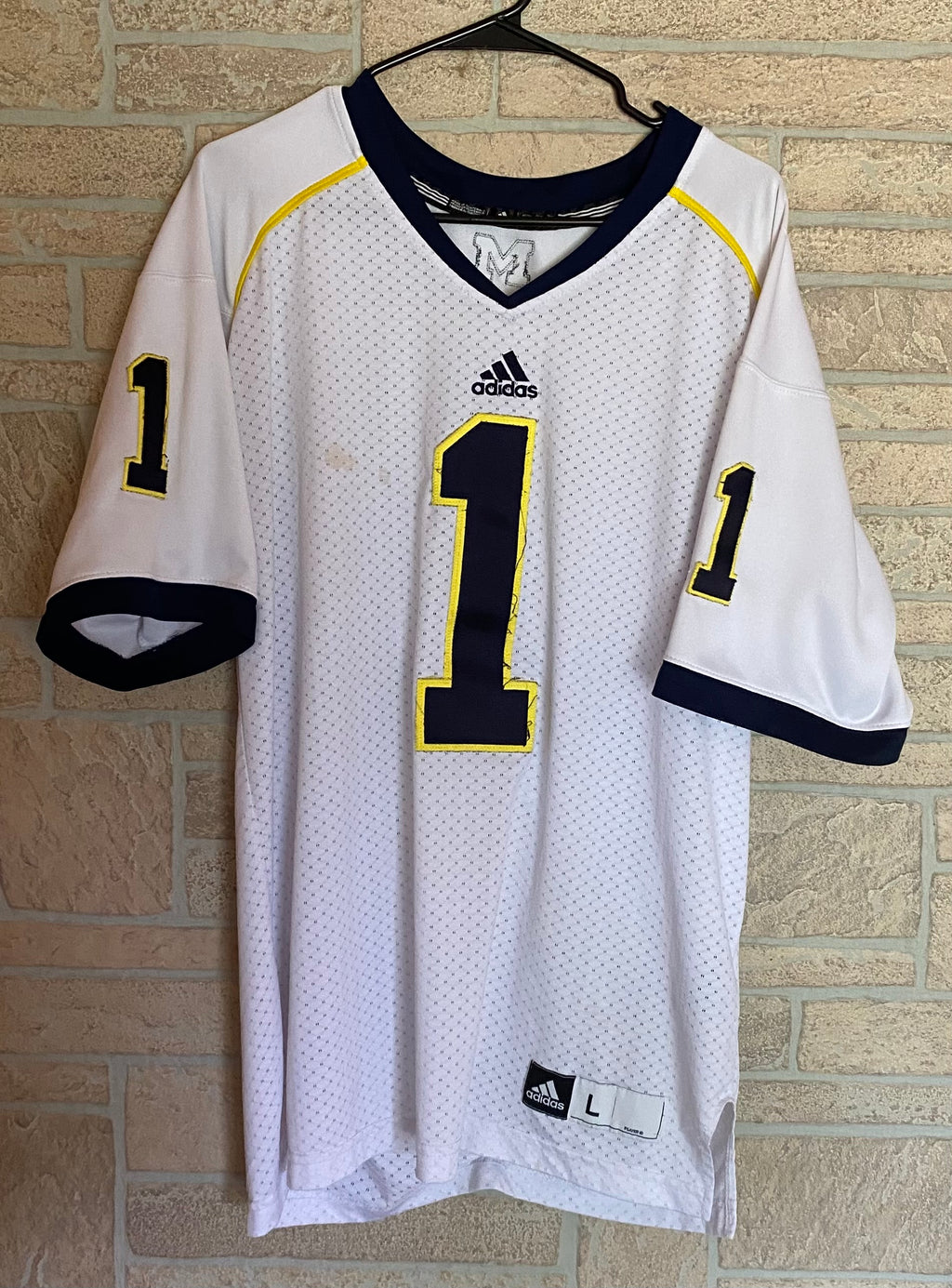 Michigan Wolverines #1 Jersey Lg